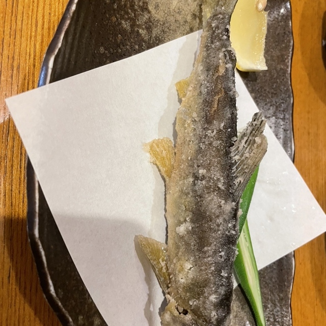 壱光