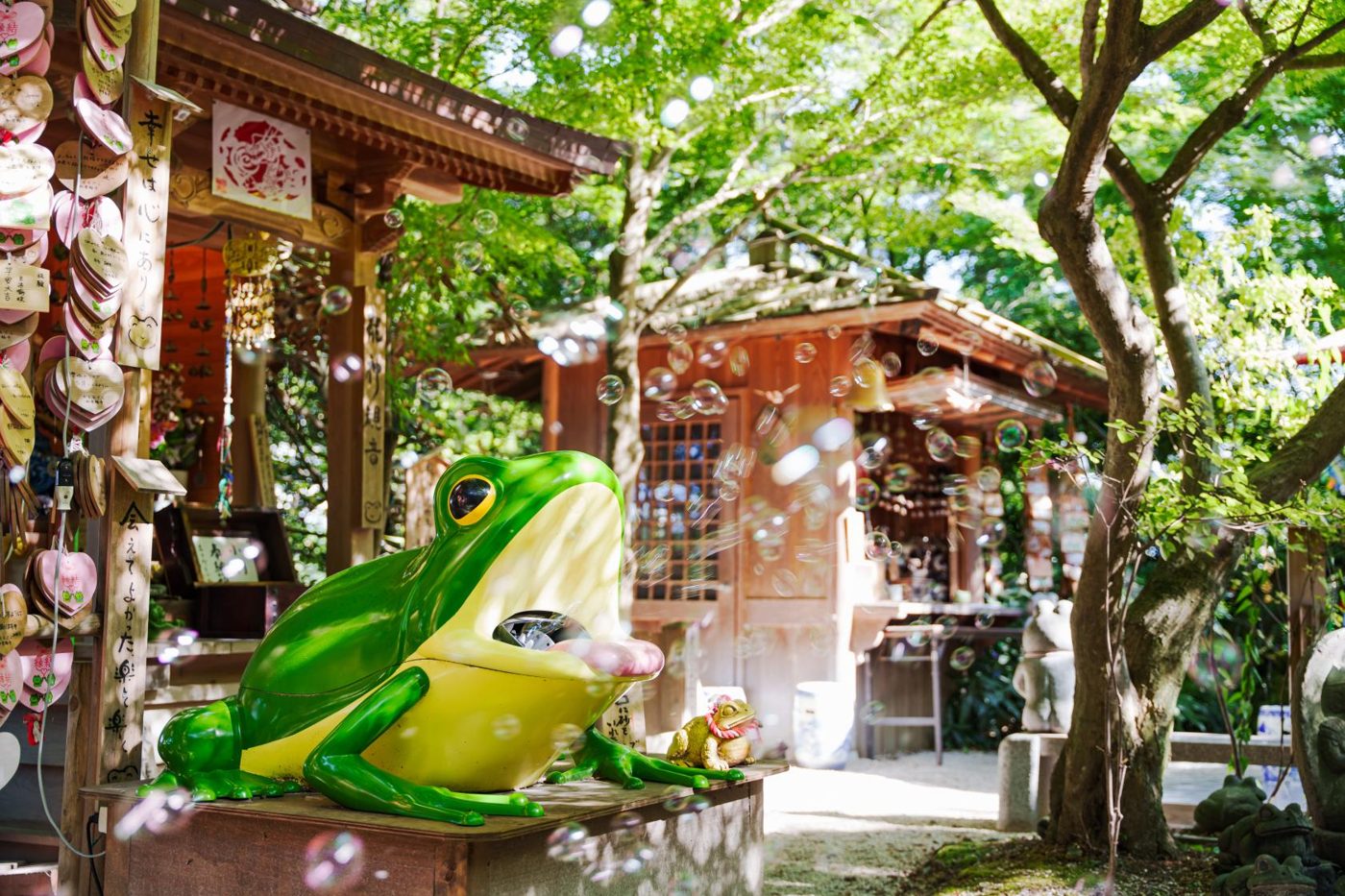 Nyoi Wa Tera (Kaeru Tera) Furin Festival