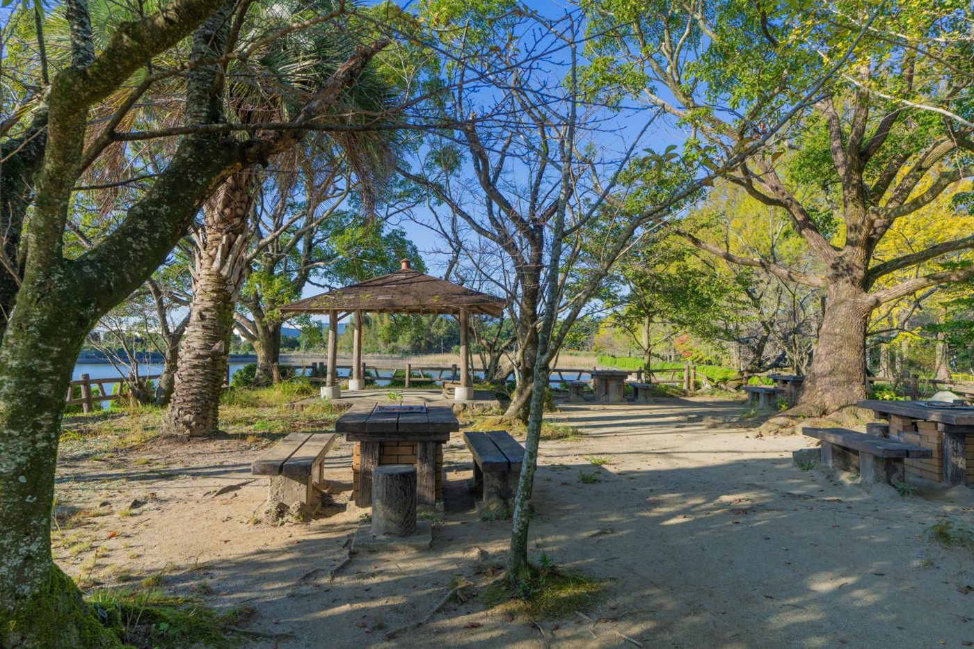 Shiroyama Park (Ogori)