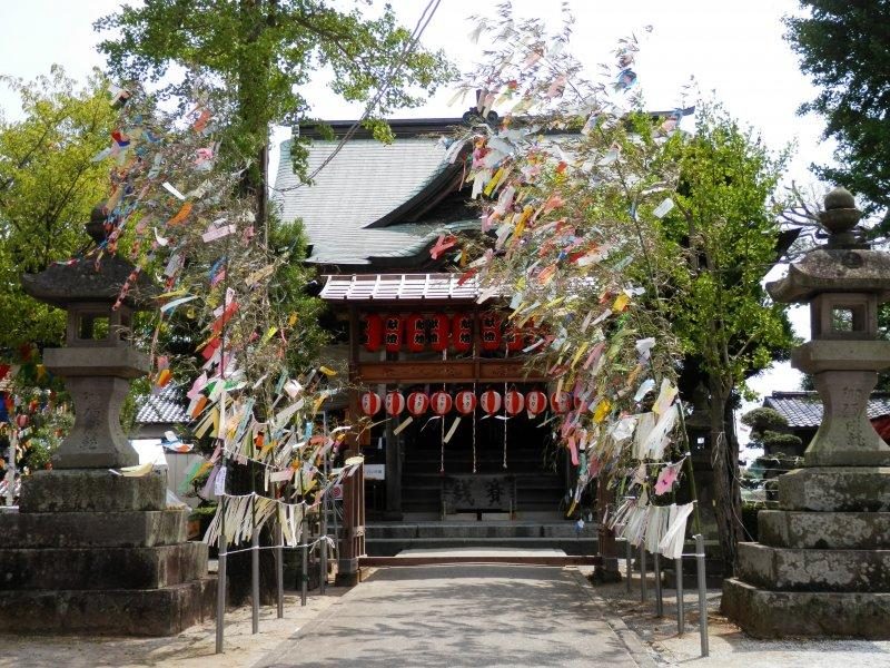 Natsu Festival