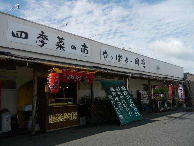 City of Colors Yappa Okagaki