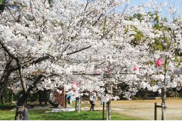 Enmei Park