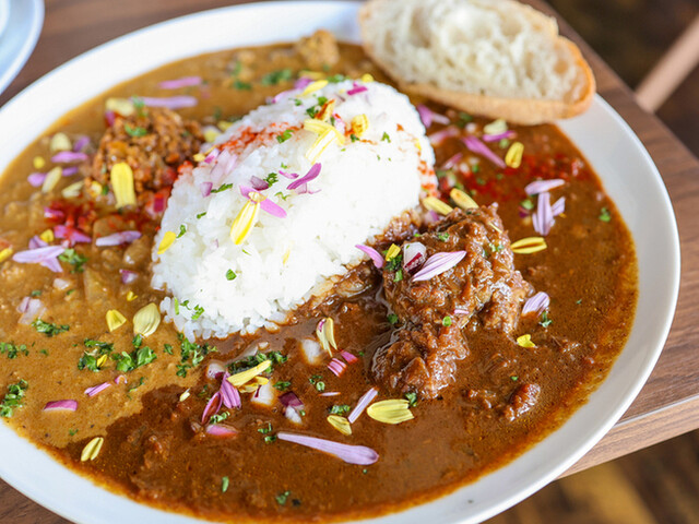 SPICE CURRY Blue Coral Reef