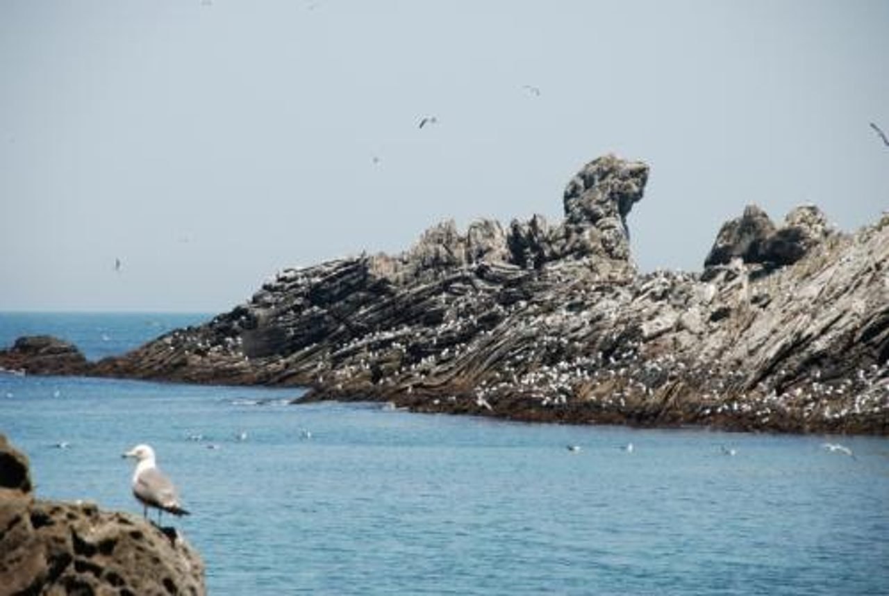 Ejima Island