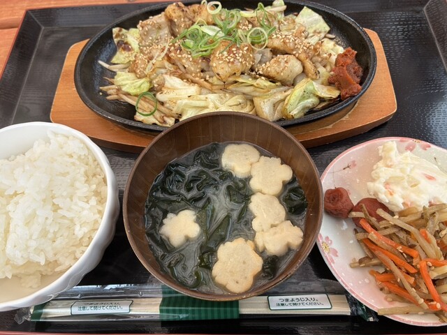 月と猫