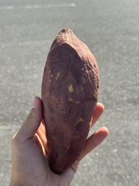 どんぶり勘定
