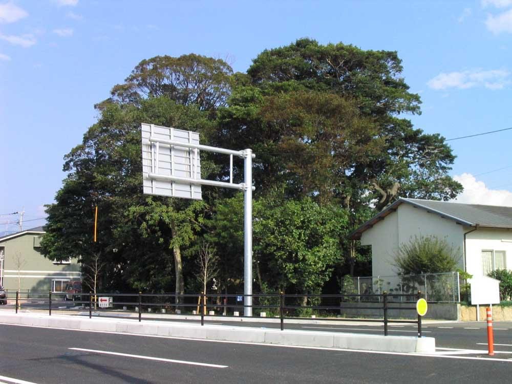 Mikasa Forest