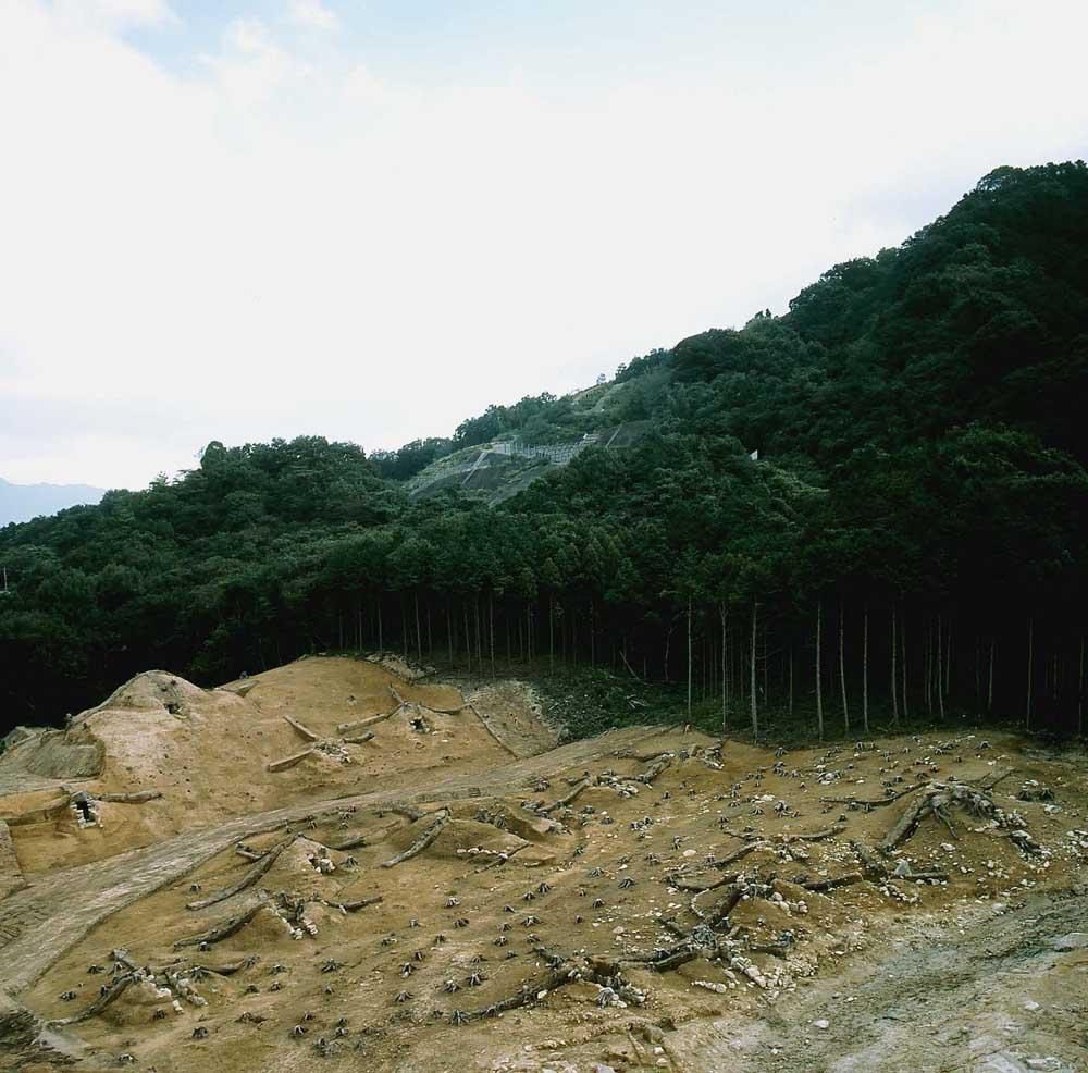 Zen'ichida Kofun Group