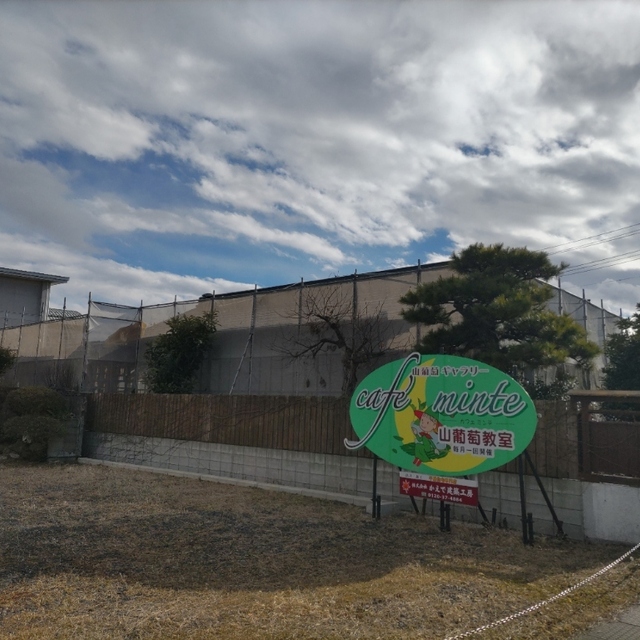 カフェ ミンテ