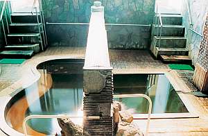 天恵の名湯　いさぜん旅館