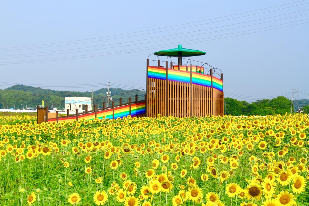 Oto Hana Park