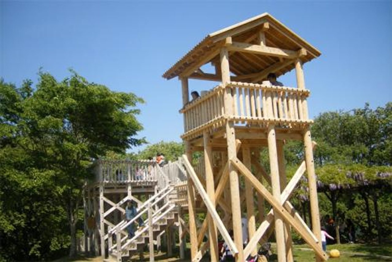 Miyagi Prefectural Forest Kids Adventure Course