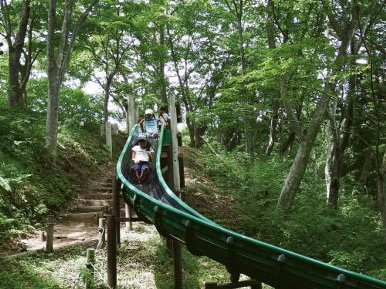Miyagi Prefectural Forest / Youth Forest