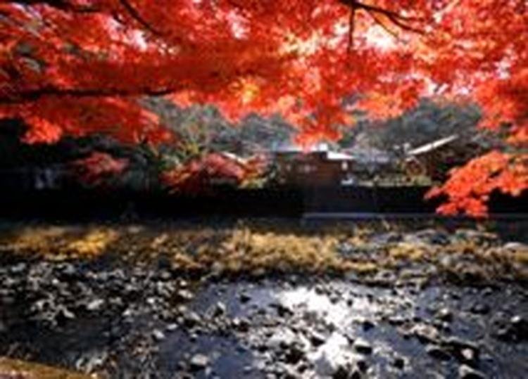 Naokawa Gorge Forest Park