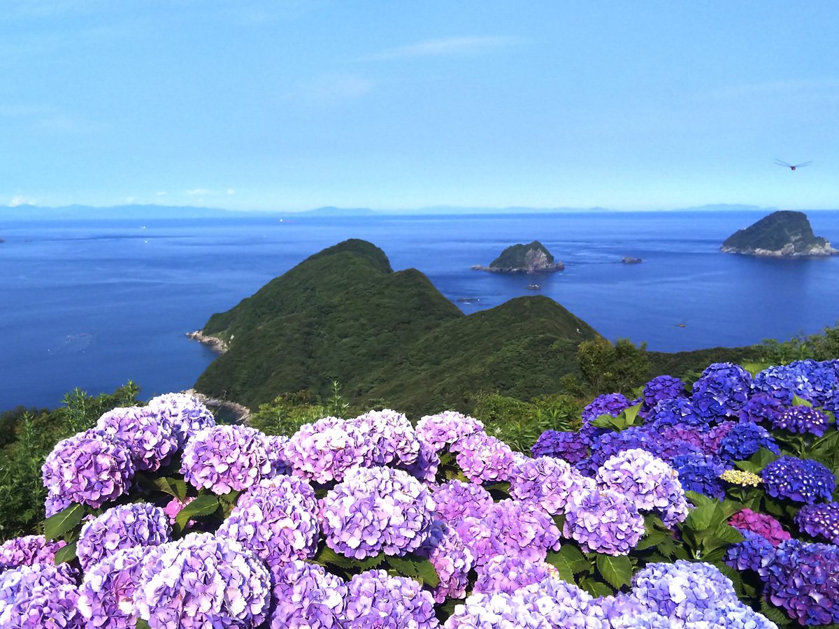 Sora Park Viewpoint