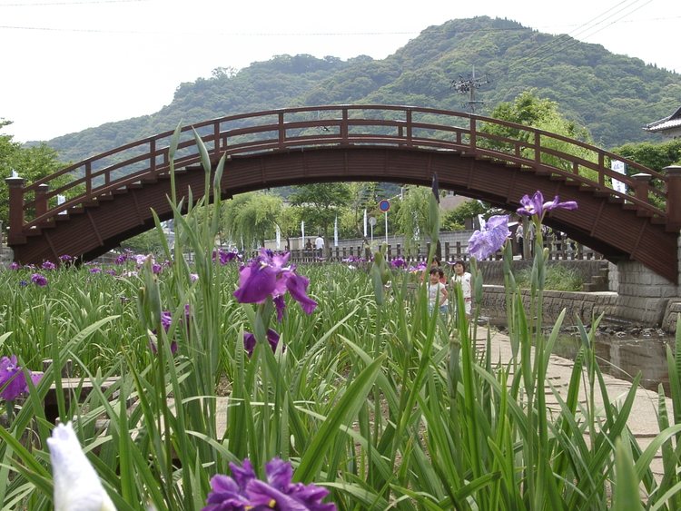 Usu Tsubokawa Shobuen