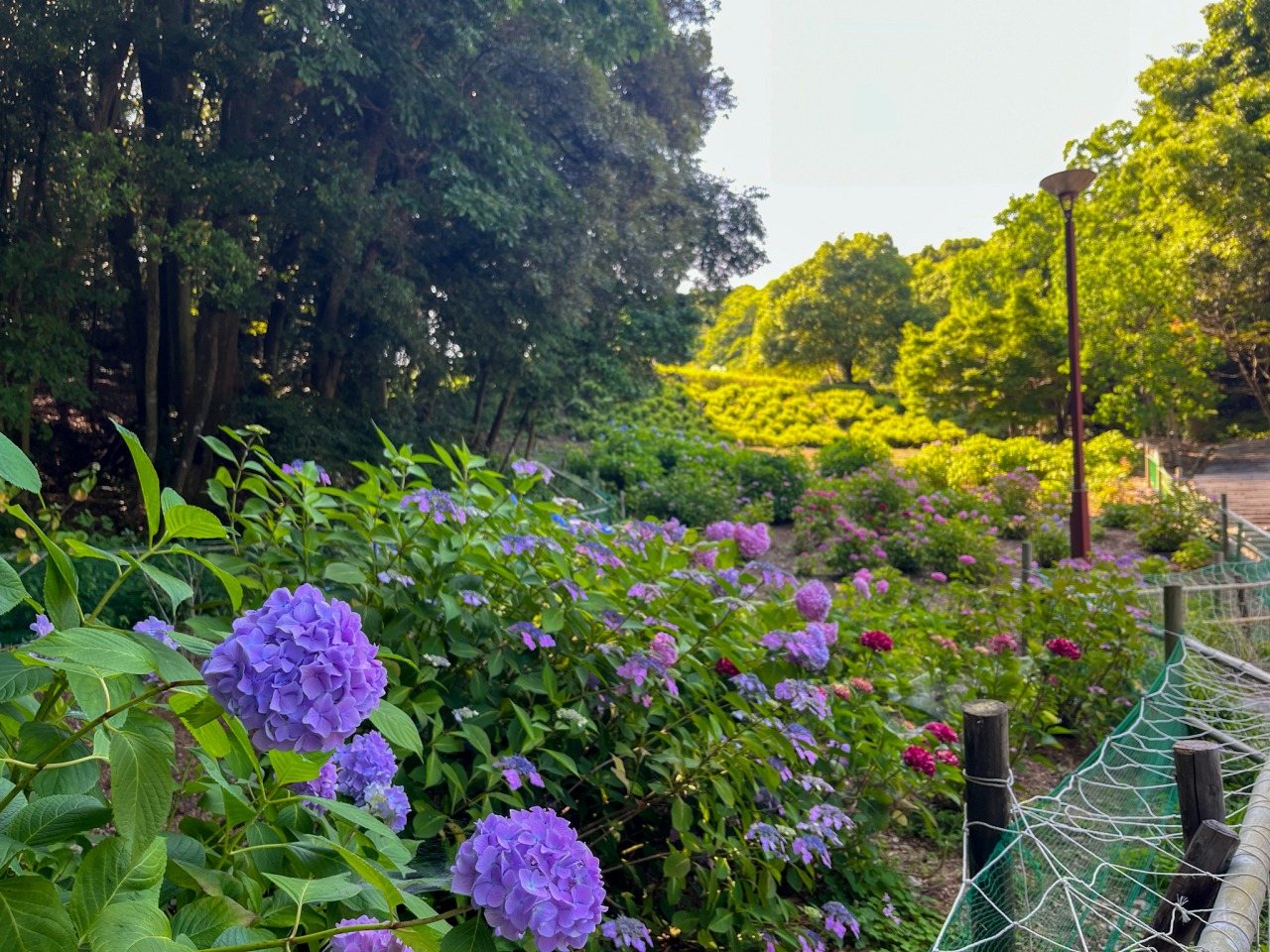 Koshio Park