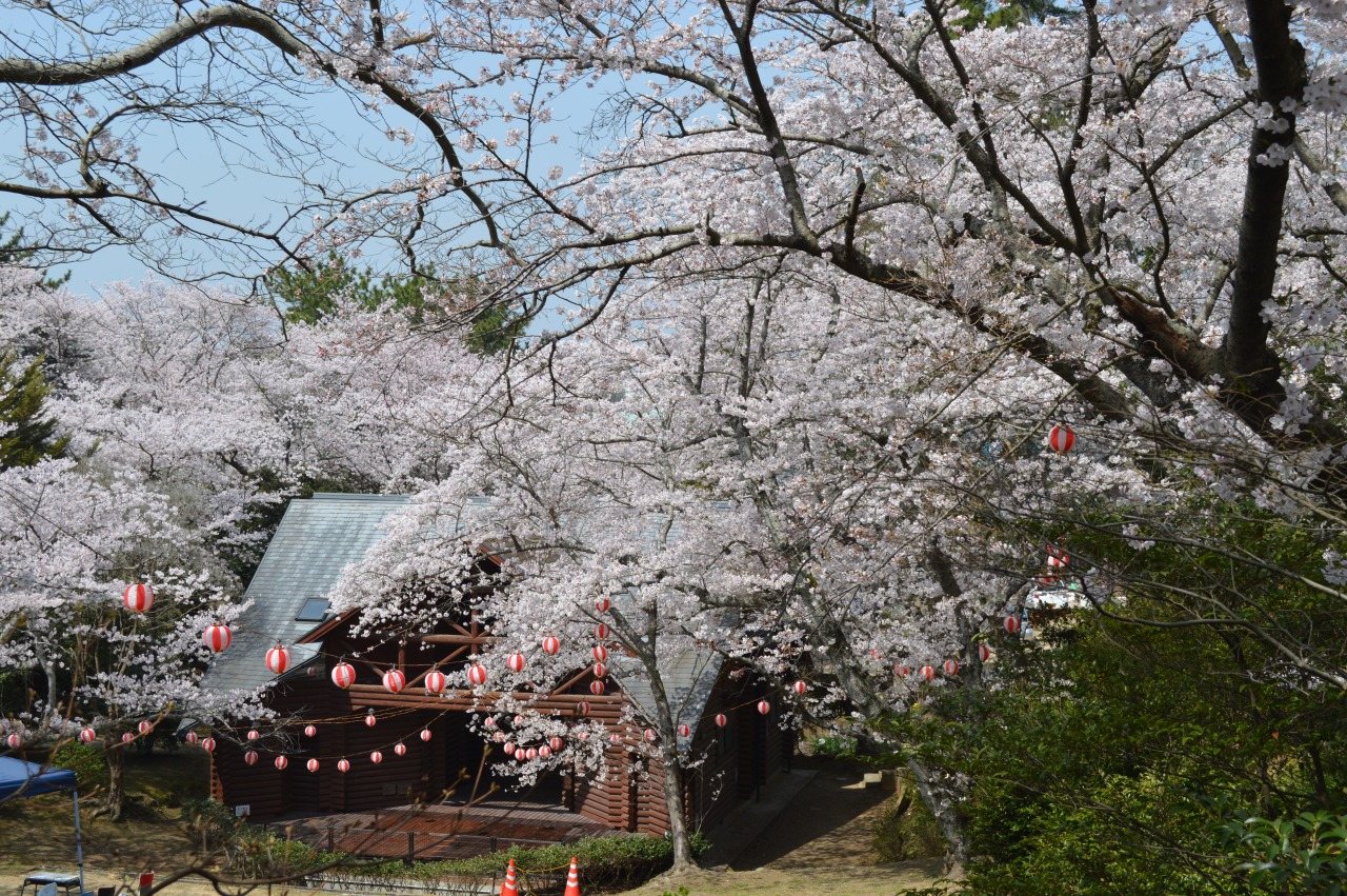 Wakayama Park
