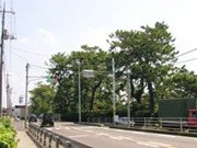 Shikon no Matsubara
