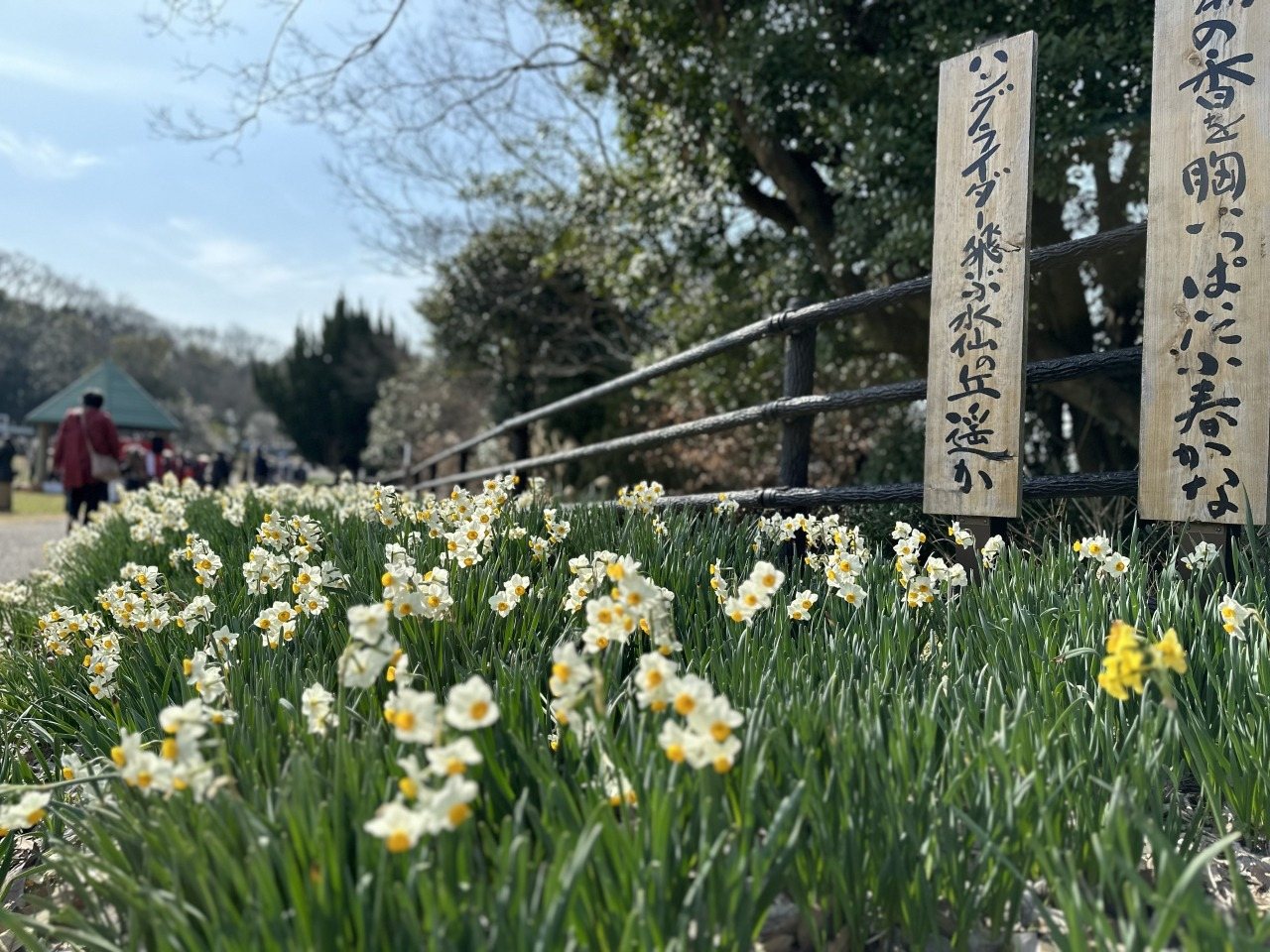 Nawa Chigahana Park