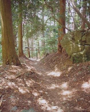 Yamato no Mori Promenade