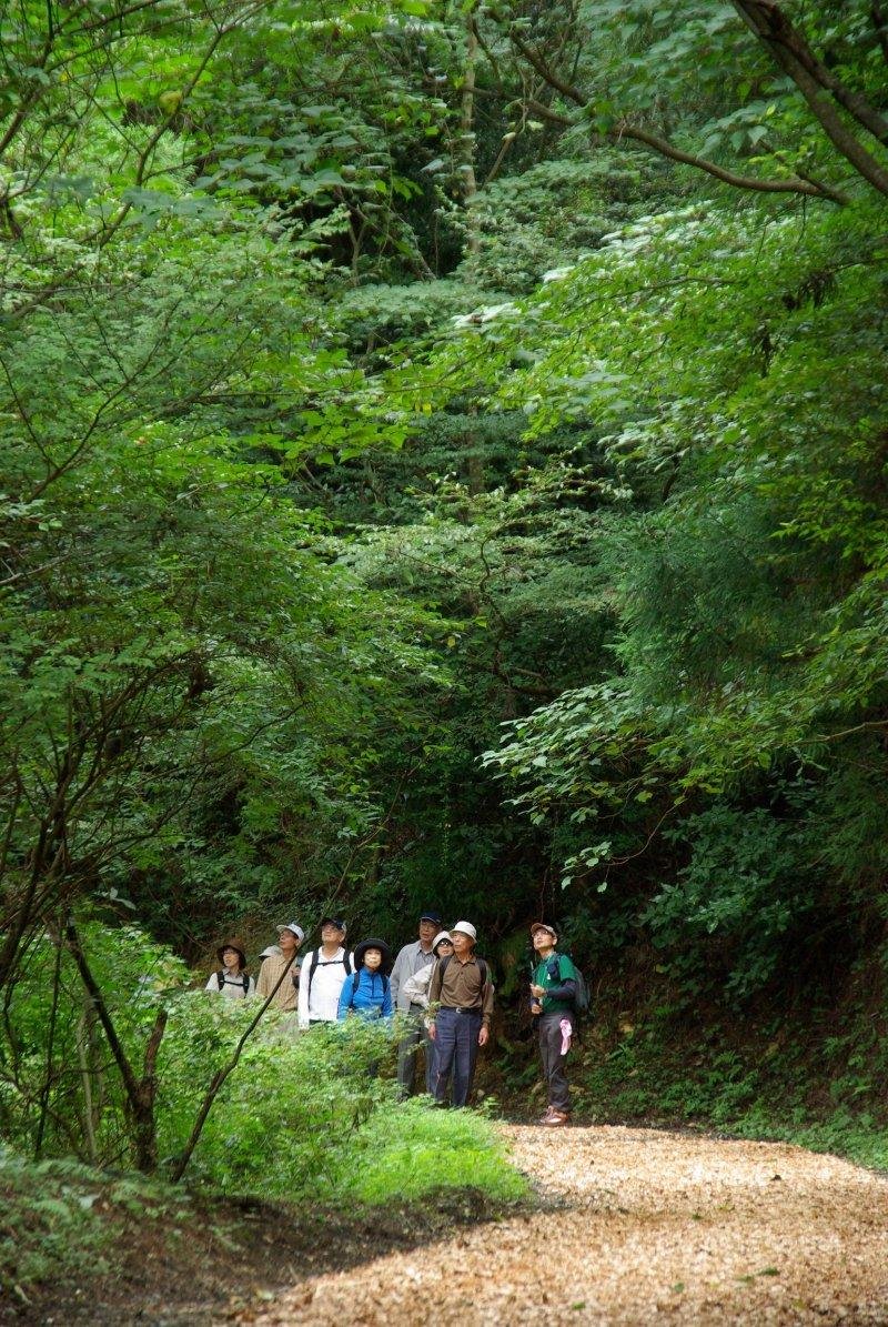 Shinrin Serapii Kichi Sasaguri