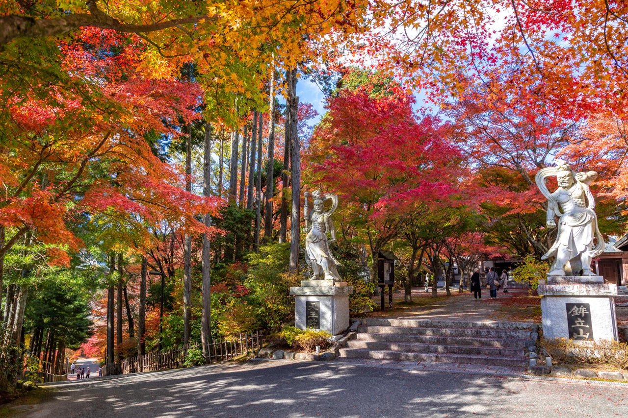 Autumn Leaves at Donzan Kannon-ji Hoko Tateyama Tenno-in