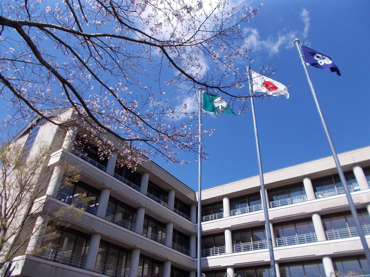 Prefectural Social Education Comprehensive Center (Youth Nature House)
