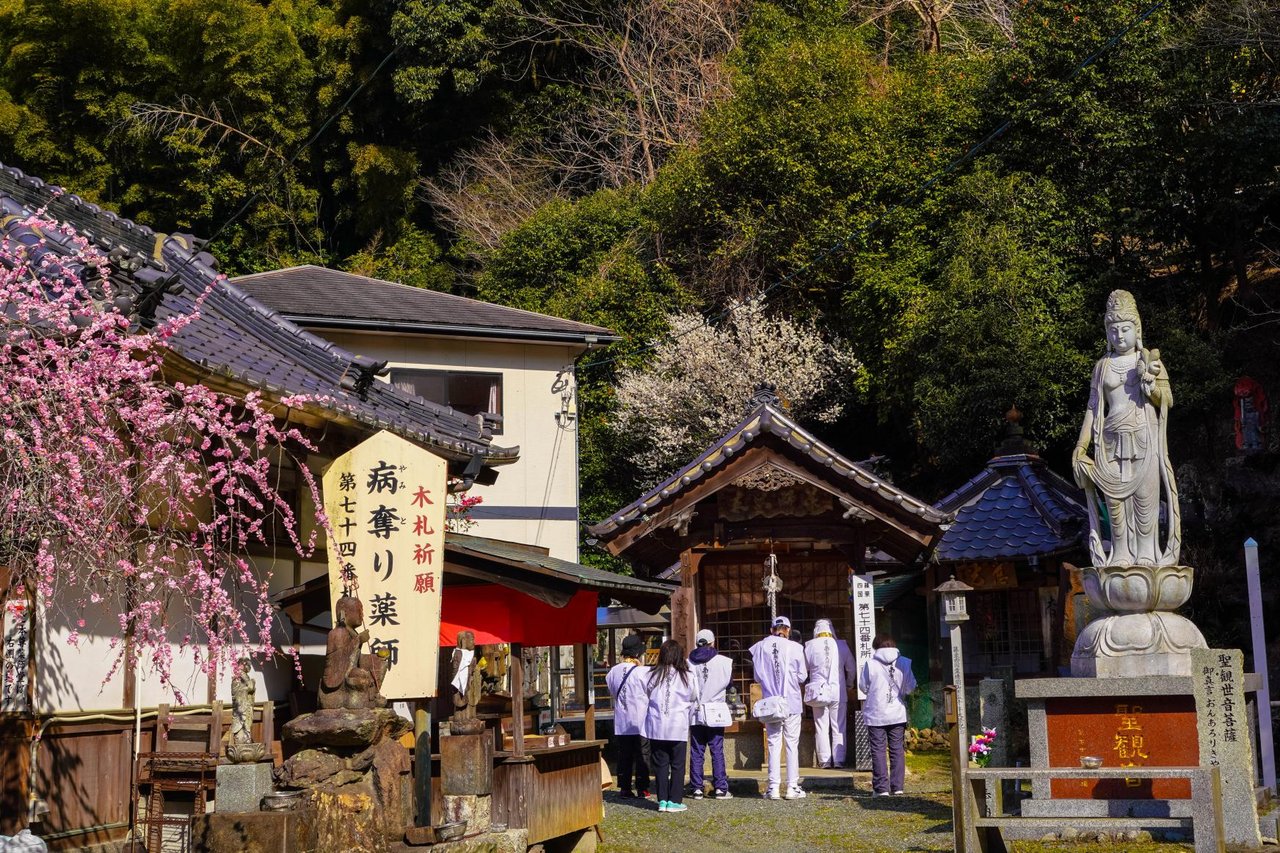 Sasaguri Shin Shikoku Reijo