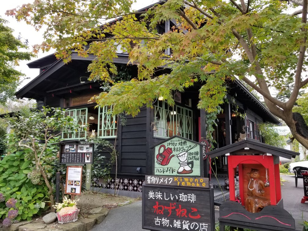 Nezuneko