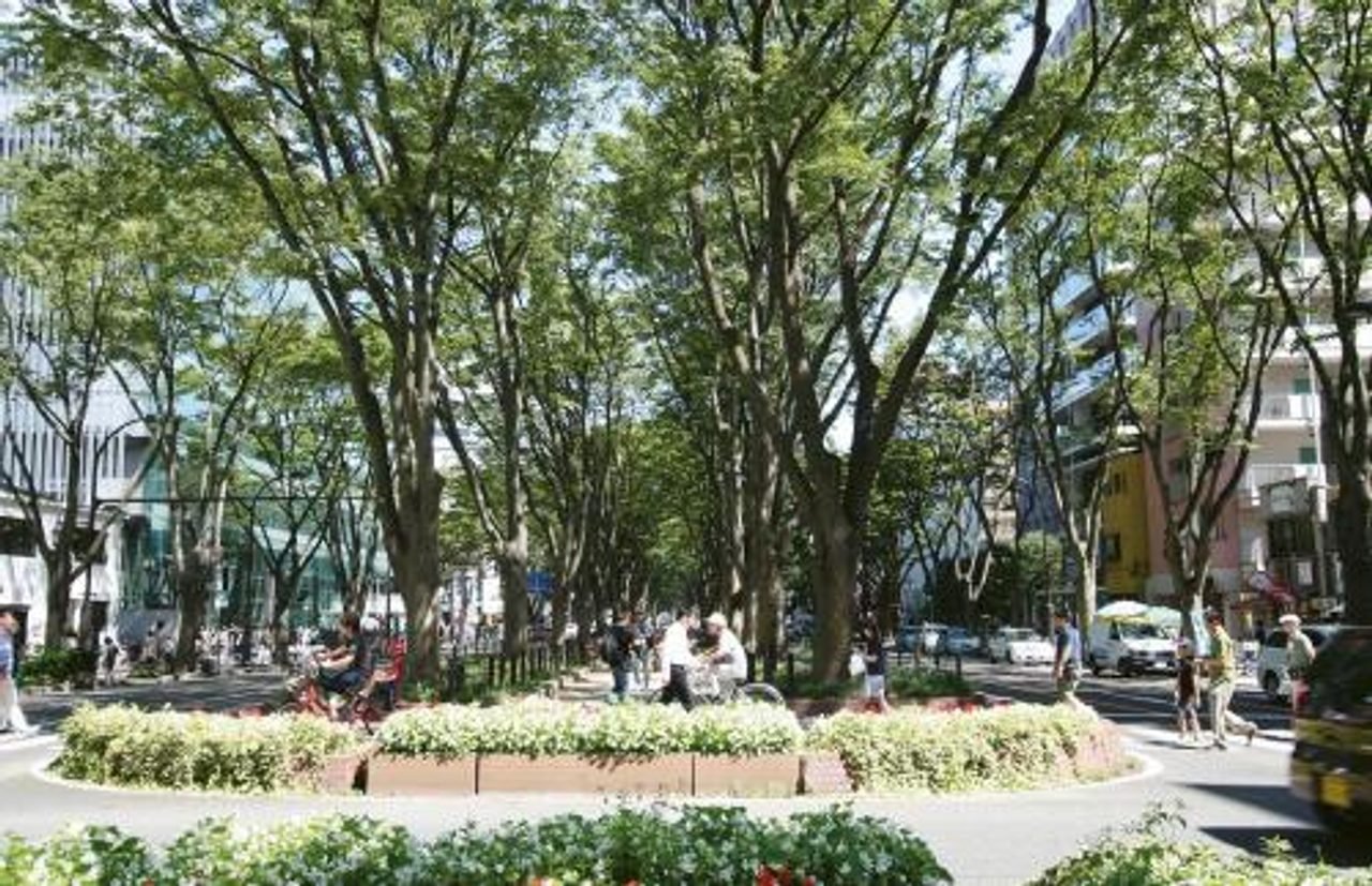 Jozenji-dori Avenue