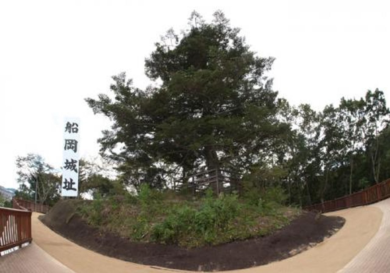 The Fir Tree Remained Observation Deck