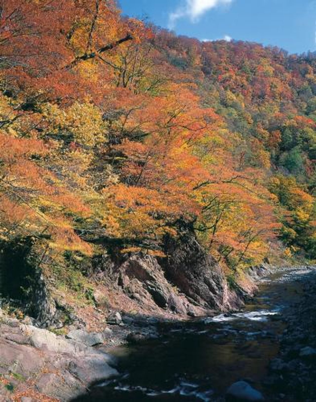 Yokokawa Gorge Autumn Leaves