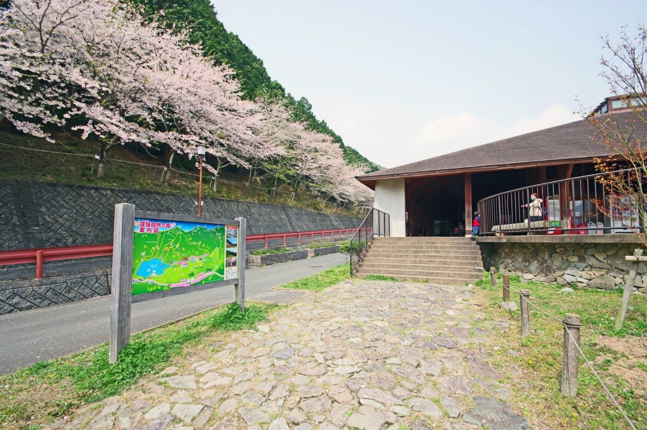 Shin Saka Nature no Mori Campground