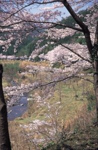 Utano Kawa Dam