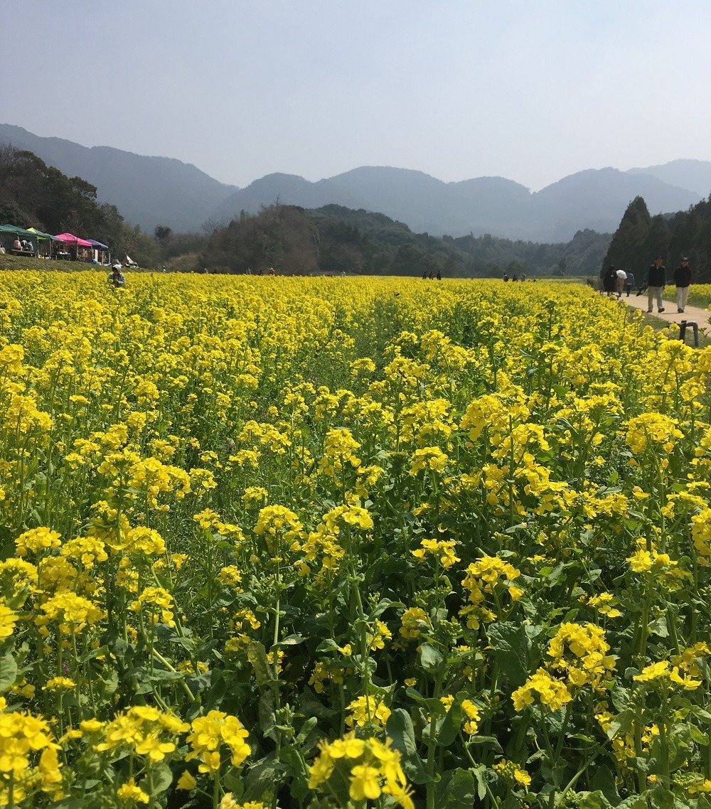 Rifuresshu Park Toyora