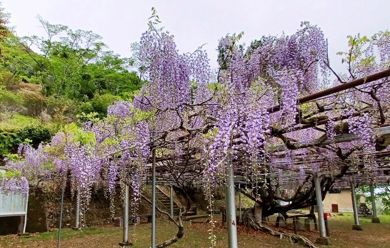 Nagamasa Tsukasa Park