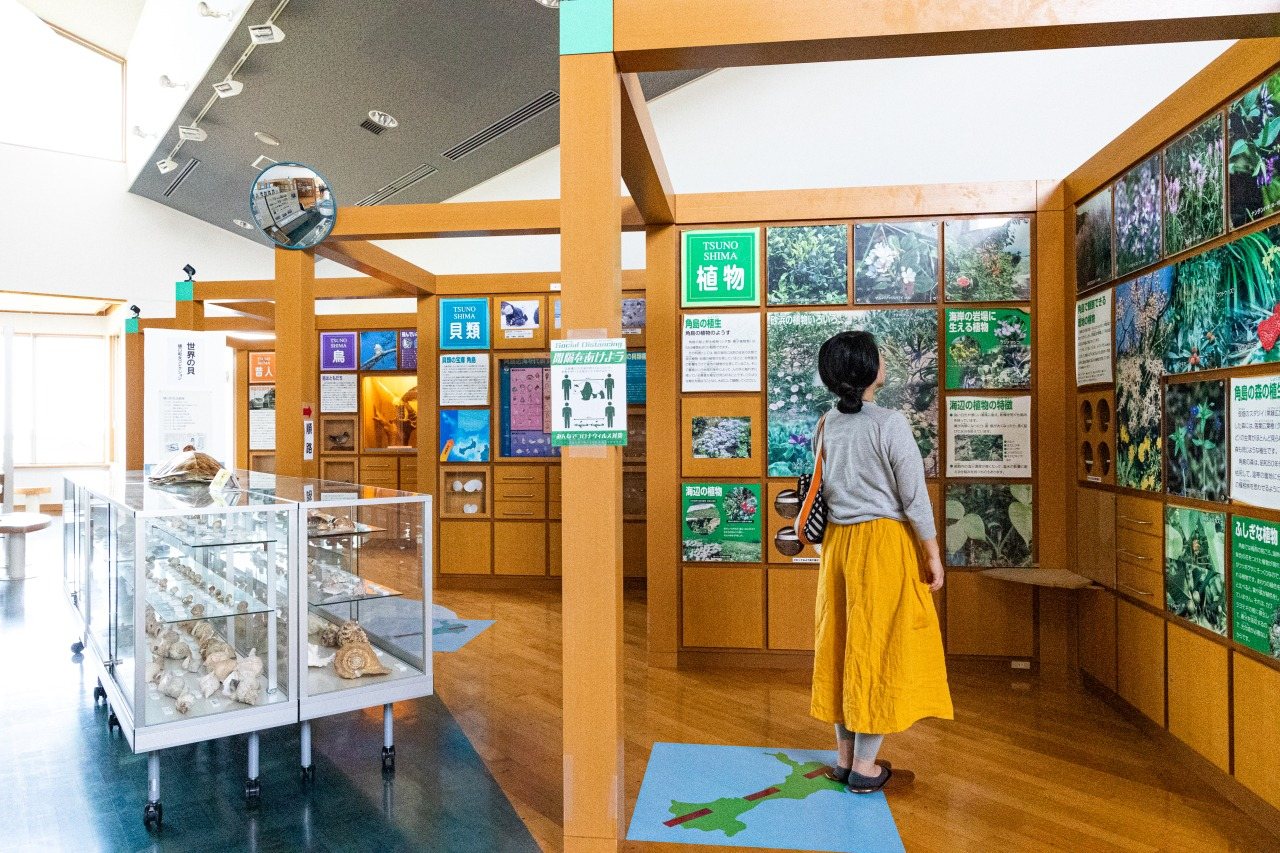 Tsu no Shima Shizen Kan
