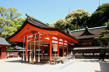 Special Viewing of Sumiyoshi Shrine Main Hall (National Treasure)