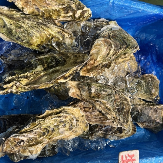 カネ彦 中村水産