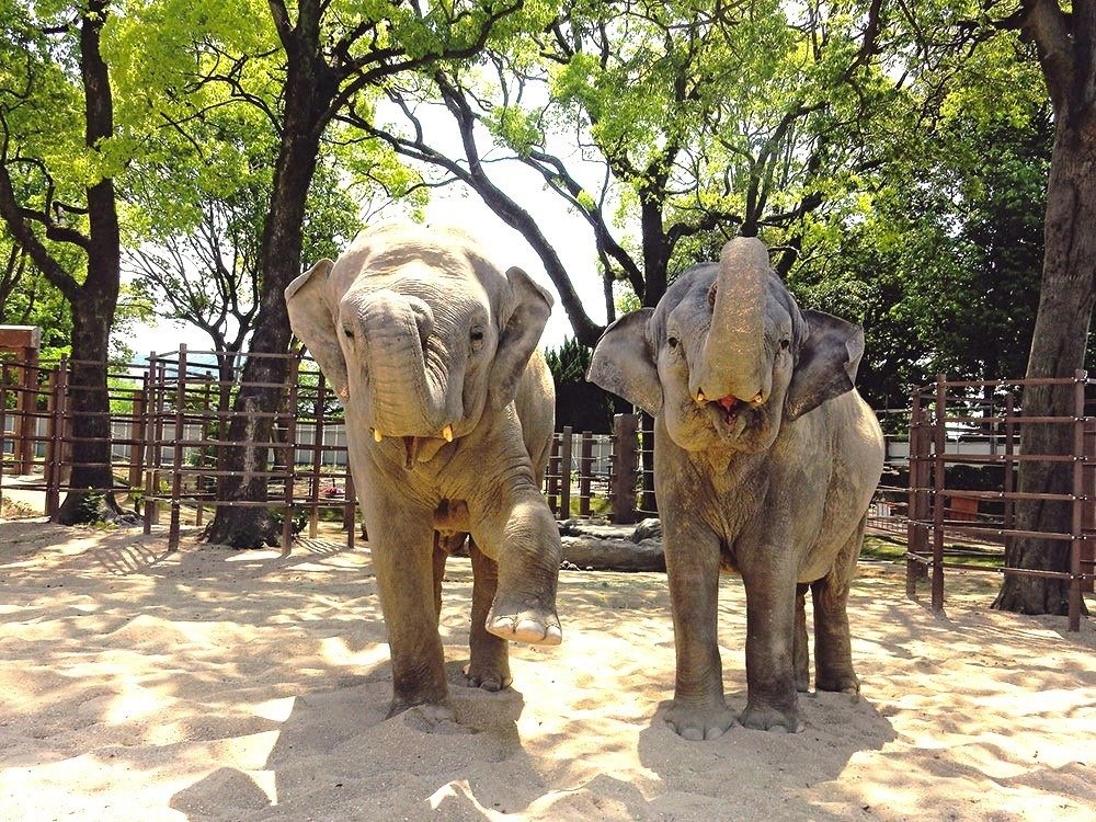 Shunan Tokuyama Zoo