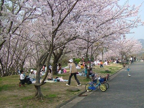 Shunan Green Park
