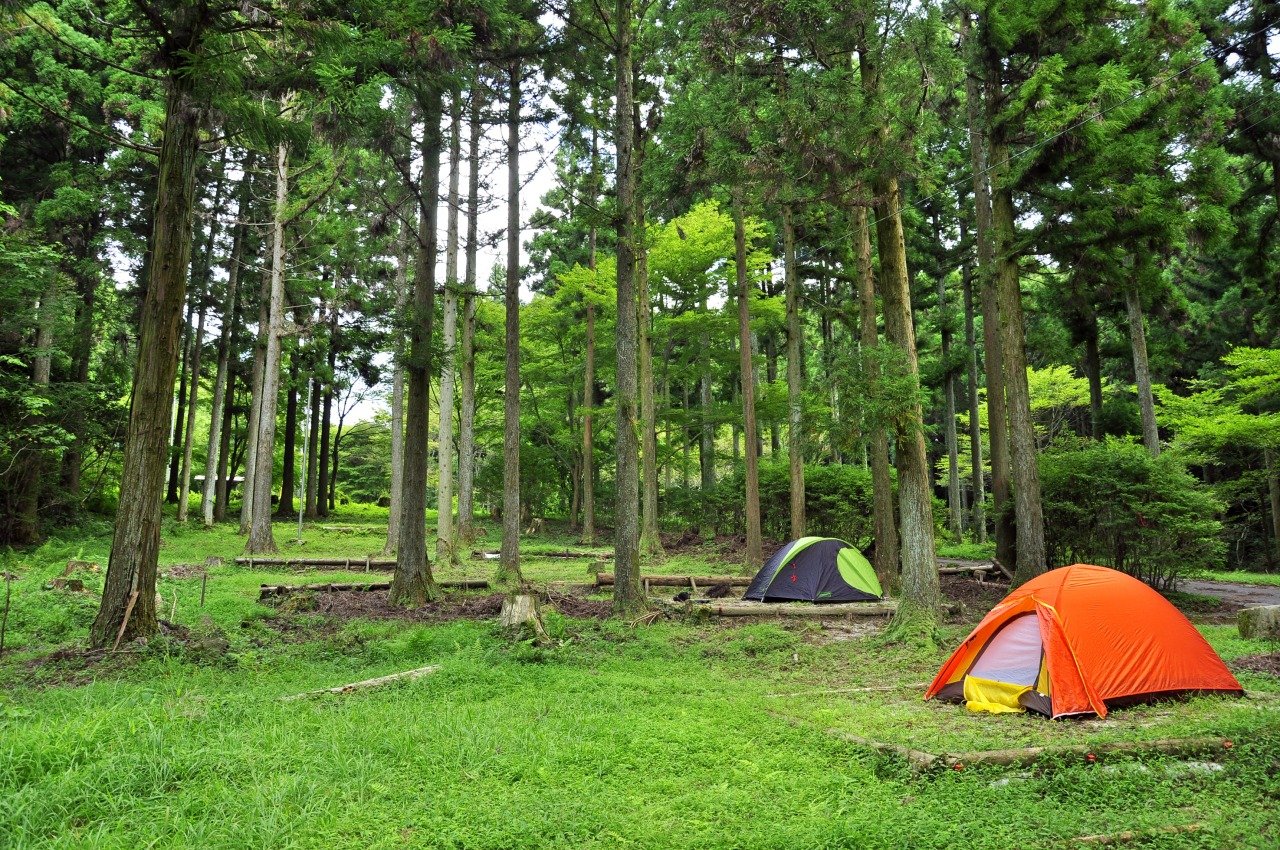 Eboshi Gaku Wood Park