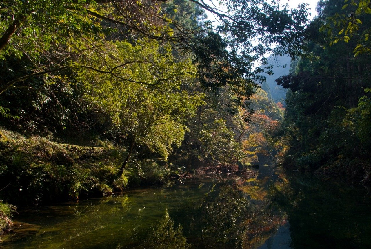 Takase Kyo