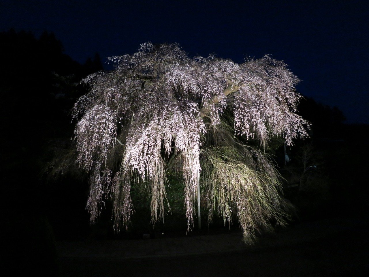 Danjo Itozakura