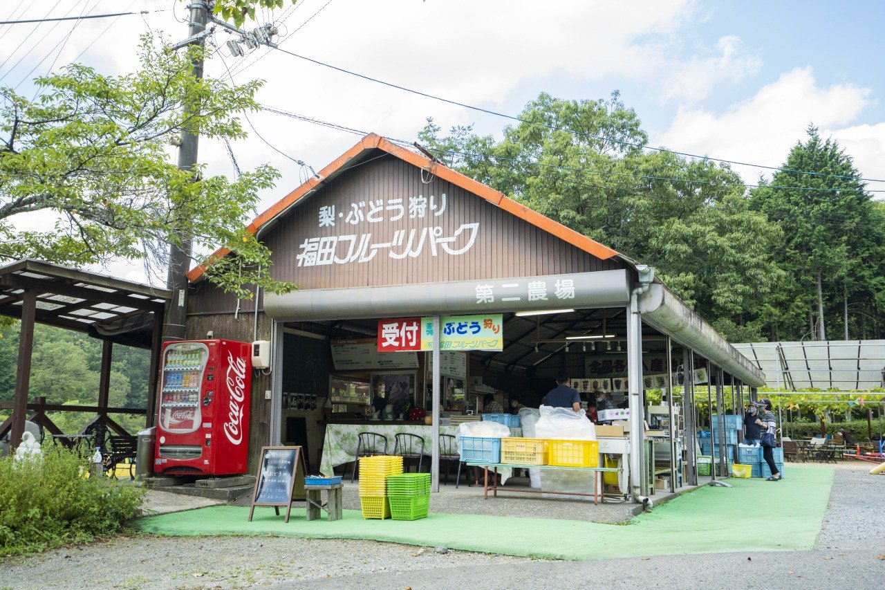 Su Kin Furutsu Land