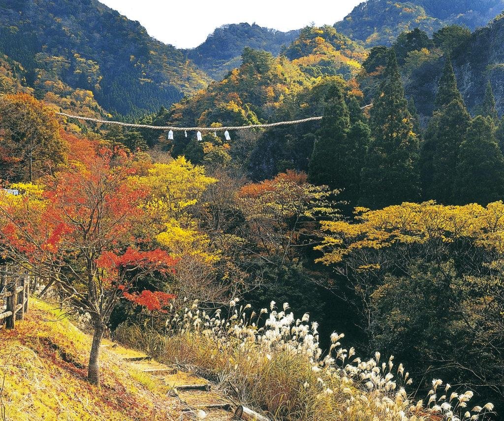 Shin Kura Kyo
