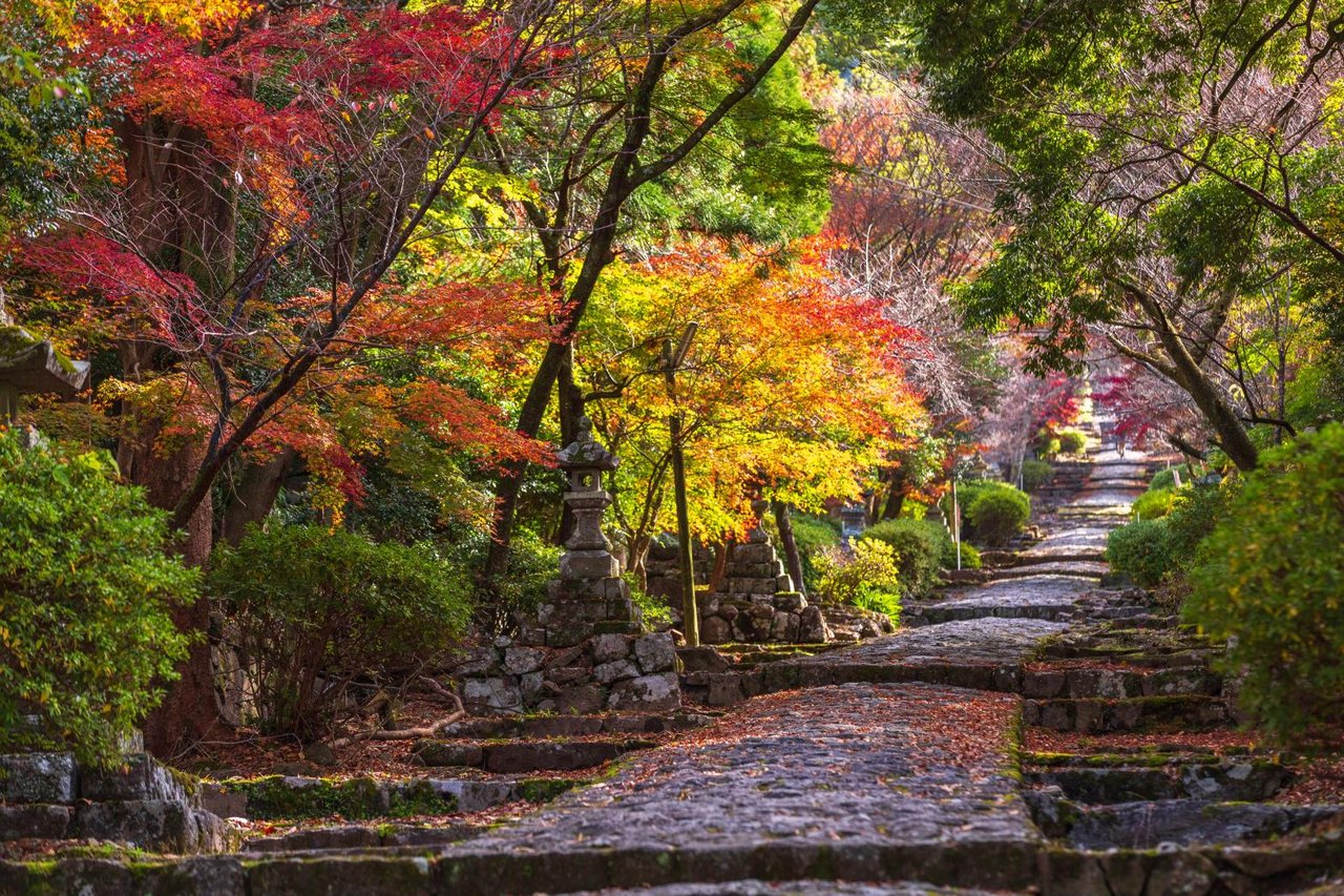 Mount Hiko Autumn Leaves