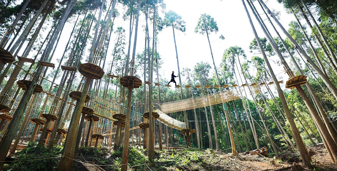 Forest Adventure Soeda