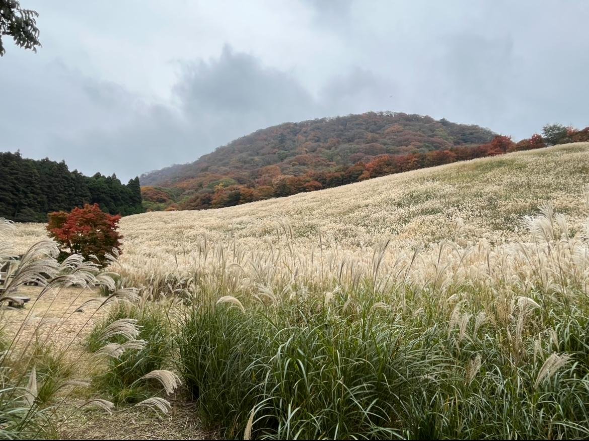 Takanosu-hara Highlands